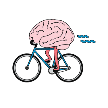 An illustration of a brain.
